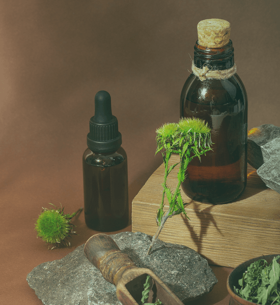 Supporting Ovulation & Cycle Regularity