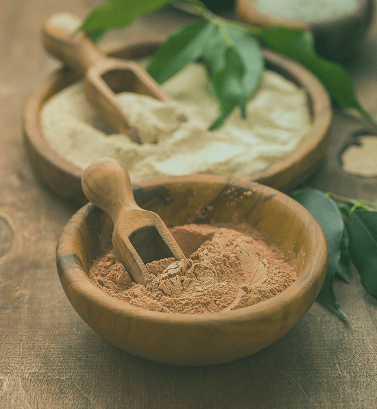 Personalize the Plan